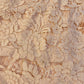 Nude Lace Maxi Dress from Angel Biba Size 8